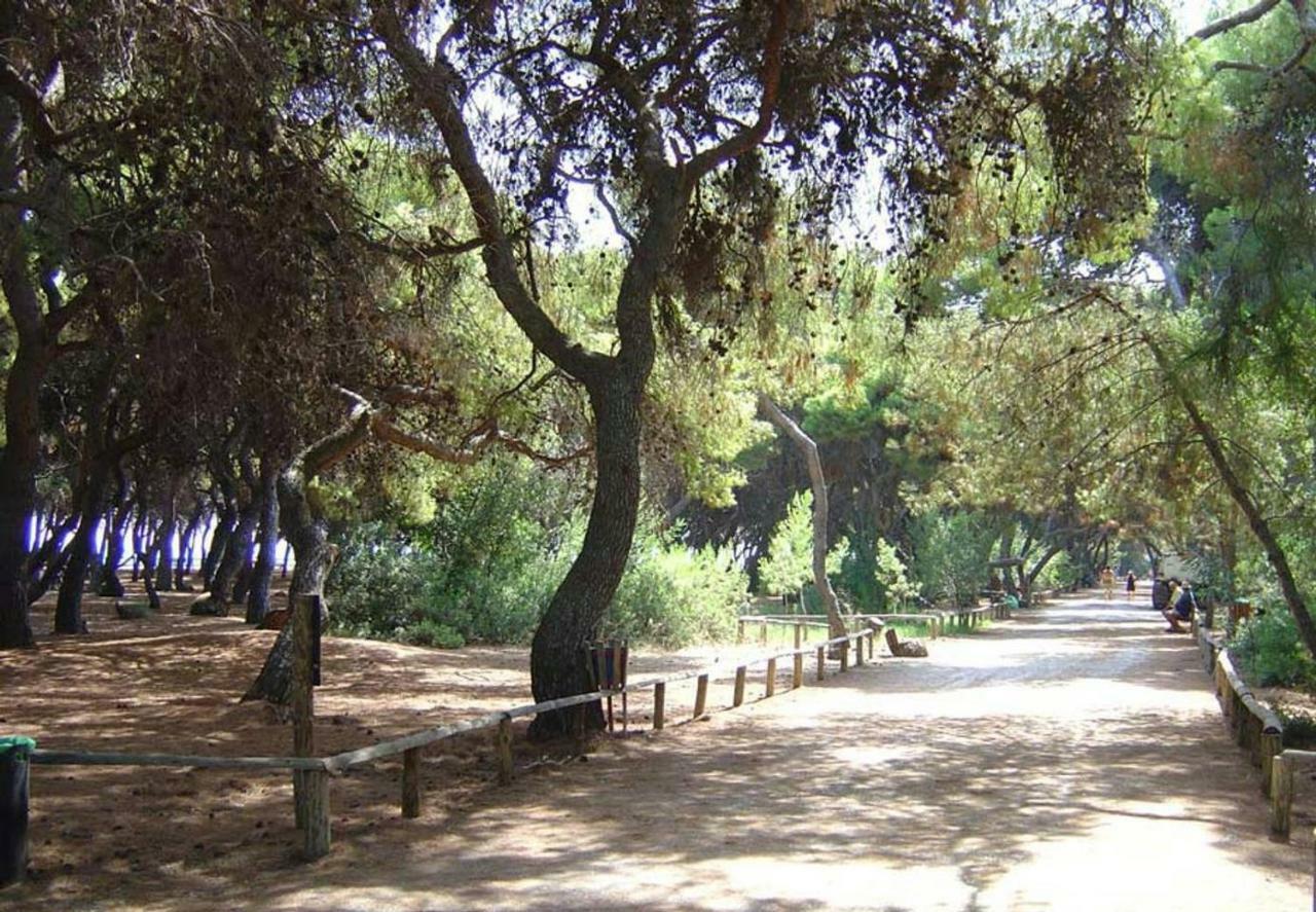 50m From Sea! * Xylokastro